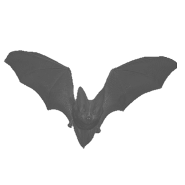 A bat icon