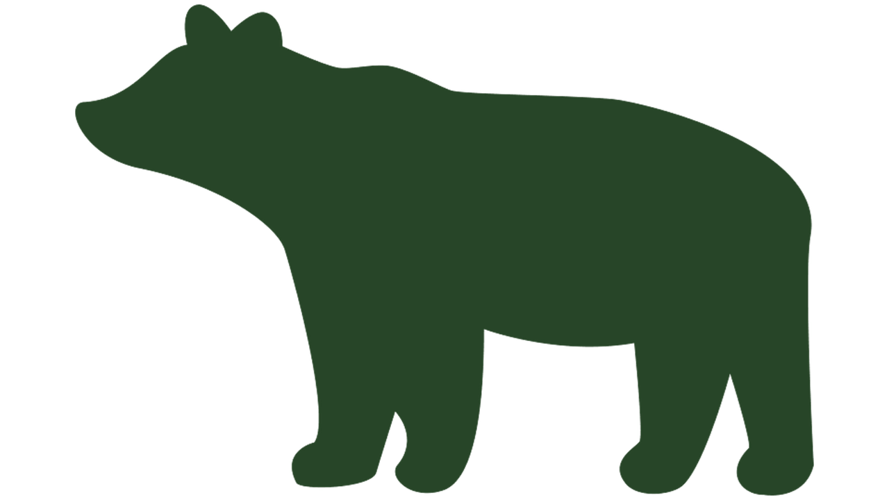 bear icon