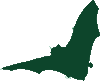 bat icon